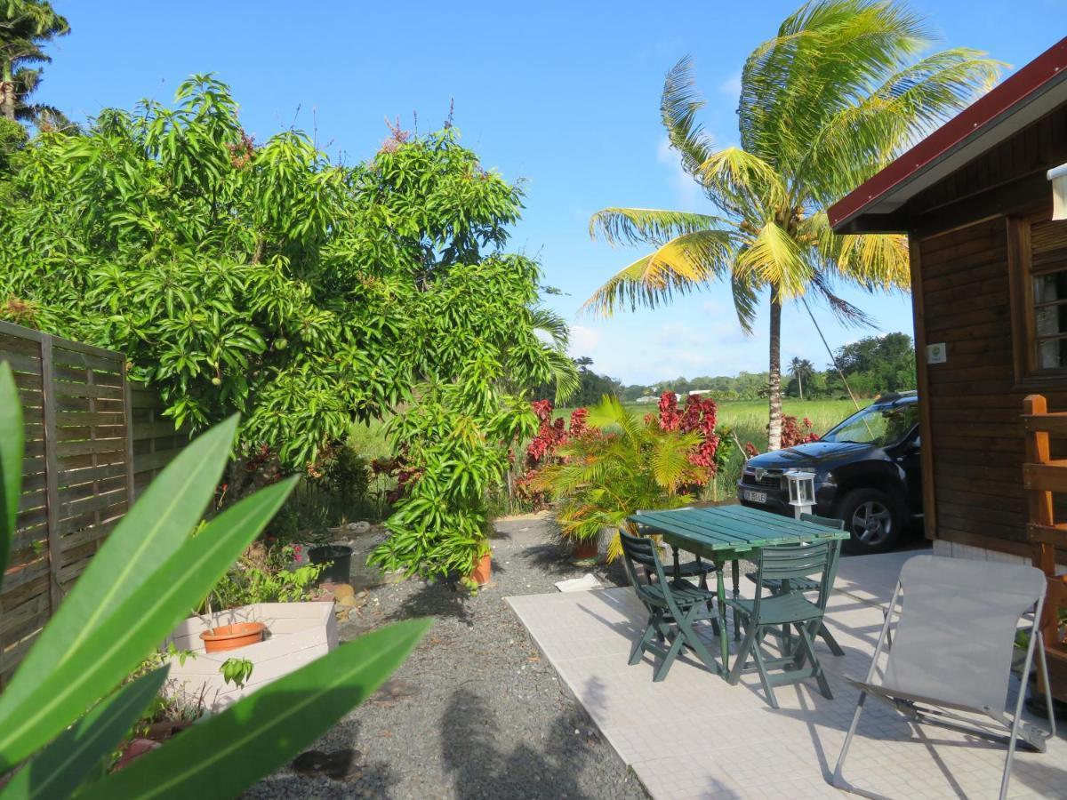 Bungalow Des Paletuviers Morne-a-l'Eau Екстериор снимка