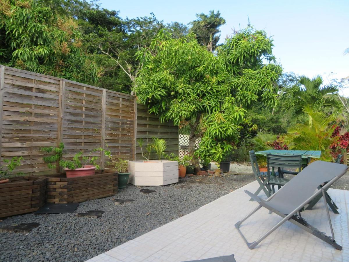 Bungalow Des Paletuviers Morne-a-l'Eau Екстериор снимка