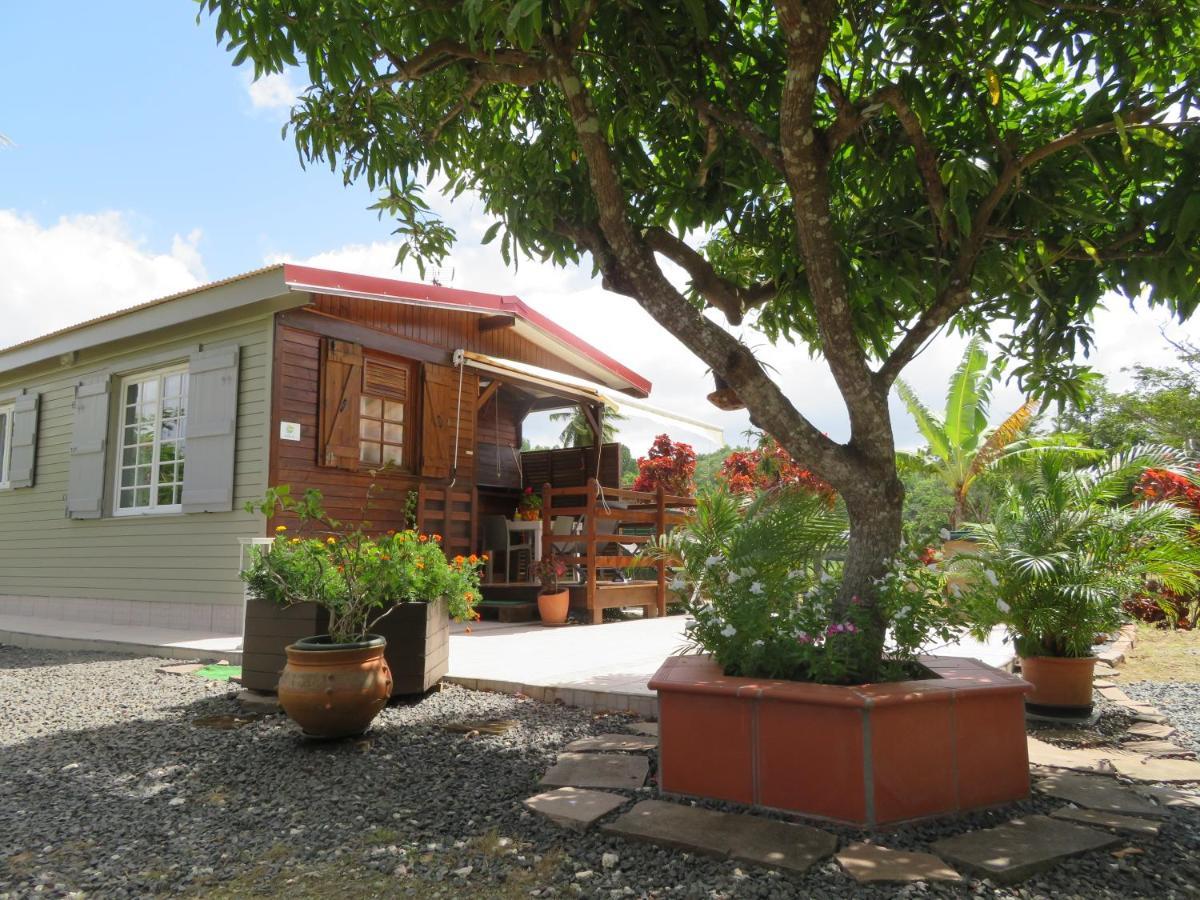 Bungalow Des Paletuviers Morne-a-l'Eau Екстериор снимка
